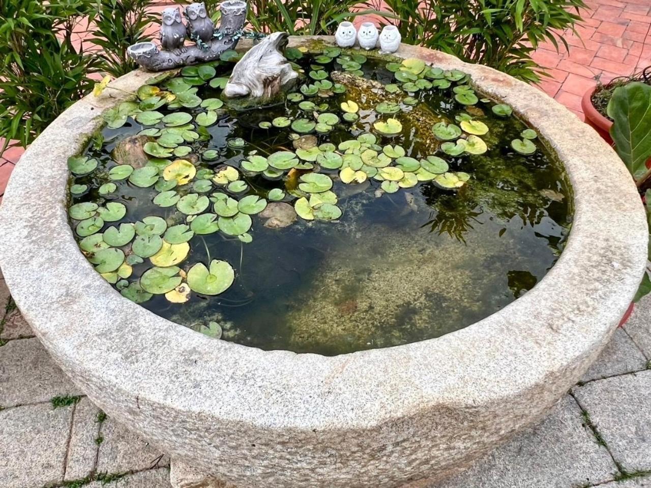 金城顺天旅店公寓 外观 照片